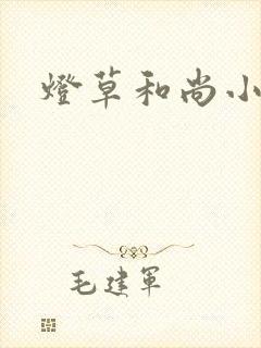 灯草和尚小说封面