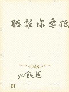 听说你要抵抗我封面