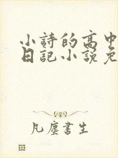 小诗的高中成长日记小说免费阅读