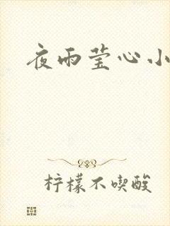 夜雨莹心小说