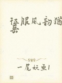 征服风韵犹存的岳封面