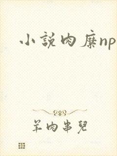 小说肉糜np