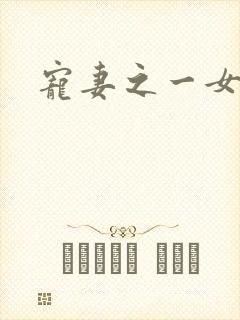 宠妻之一女二夫