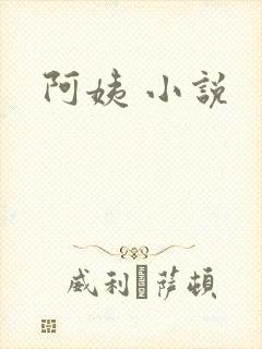 阿姨 小说封面