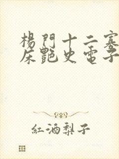 杨门十二寡妇肉床艳史电子书