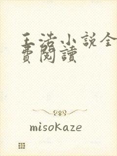 王浩小说全文免费阅读封面