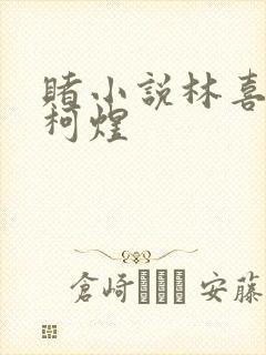 赌小说林喜朝和柯煜