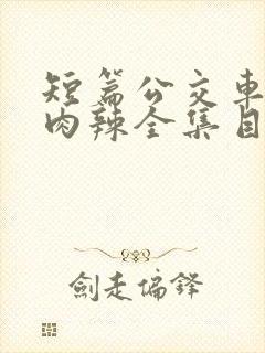 短篇公交车高h肉辣全集目录