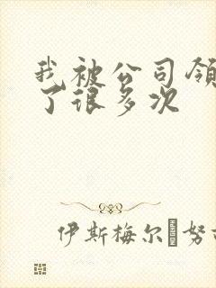 我被公司领导C了很多次