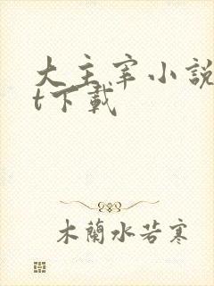 大主宰小说txt下载