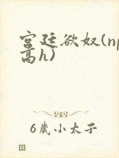 宫廷欲奴(np高h)