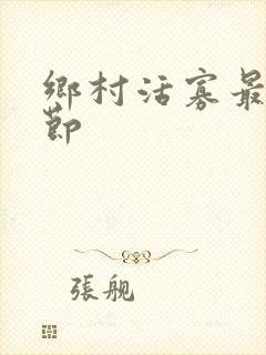 乡村活寡最新章节