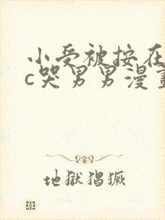 小受被按在墙上c哭男男漫画封面