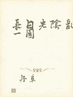 长日光阴 乱作一团封面
