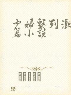 少妇系列激情短篇小说封面