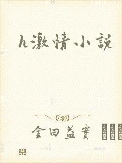h激情小说