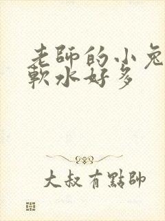 老师的小兔子好软水好多