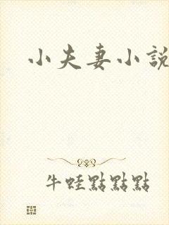 小夫妻小说
