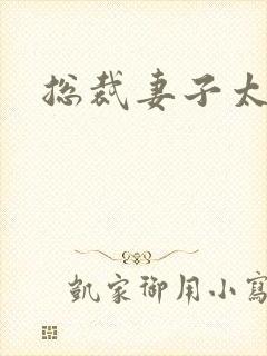 总裁妻子太诱人