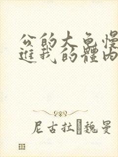 公的大龟慢慢挺进我的体内