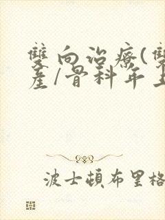 双向治疗(双/产/骨科年上)