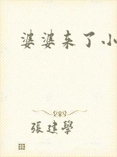 婆婆来了小说封面