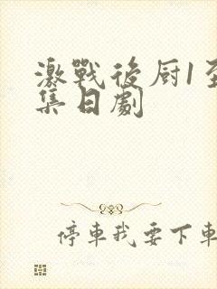 激战后厨1至5集日剧