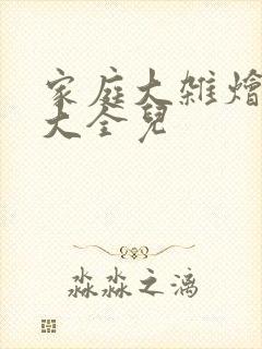 家庭大杂烩小说大全儿