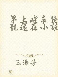 早上醒来发现巨龙还在小说