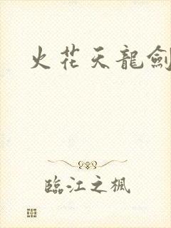 火花天龙剑