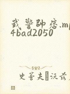 武警帅痞.mp4bad2050封面