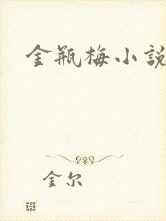 金瓶梅小说