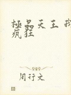 极品天王 我本疯狂封面