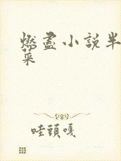 燃尽小说半截白菜