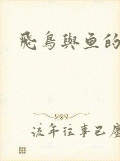 飞鸟与鱼的故事