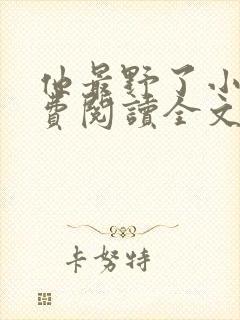 他最野了小说免费阅读全文封面