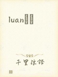 luanС˵封面