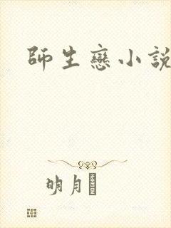 师生恋小说
