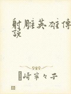 射雕英雄传 小说封面