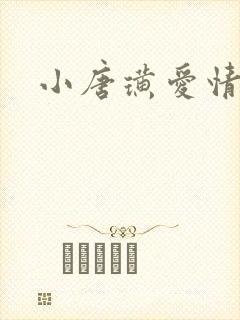 小唐璜爱情历史封面