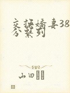 交换娇妻38部分系列