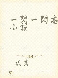 一闪一闪亮星星小说封面