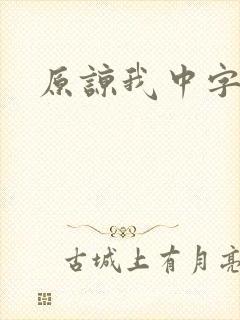 原谅我中字