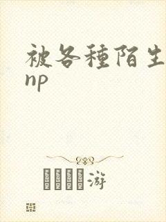 被各种陌生人 np