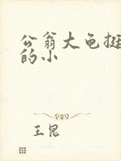 公翁大龟挺进我的小