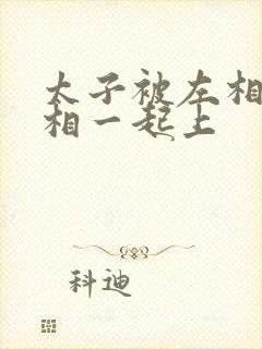 太子被左相和右相一起上