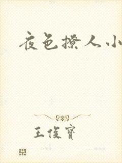 夜色撩人小说