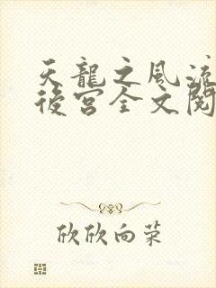 天龙之风流猎艳后宫全文阅读封面
