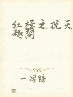 红楼之挽天倾笔趣阁