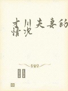 才川夫妻的恋爱情况